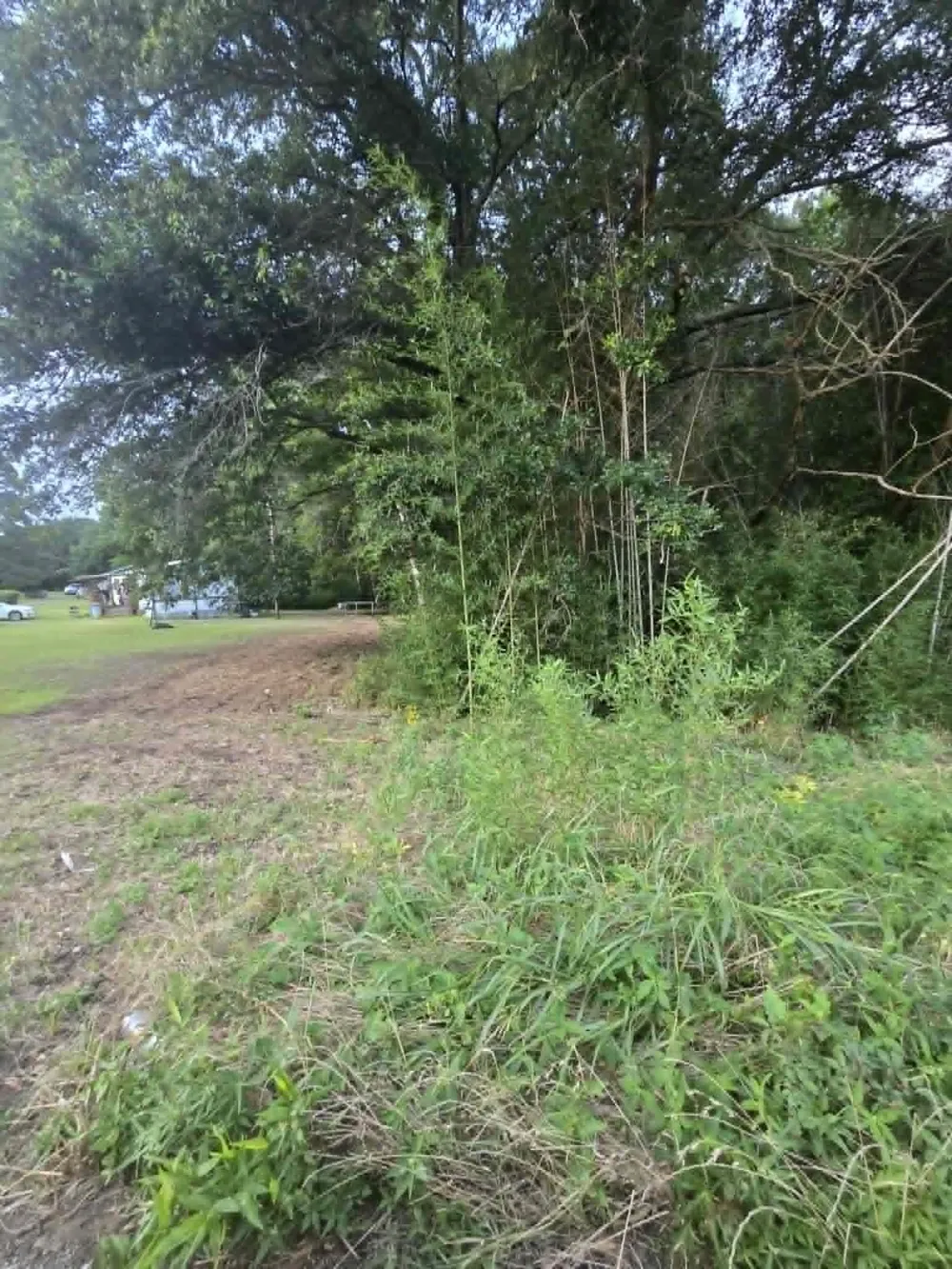 W Hwy 49 Daingerfield, TX 75638