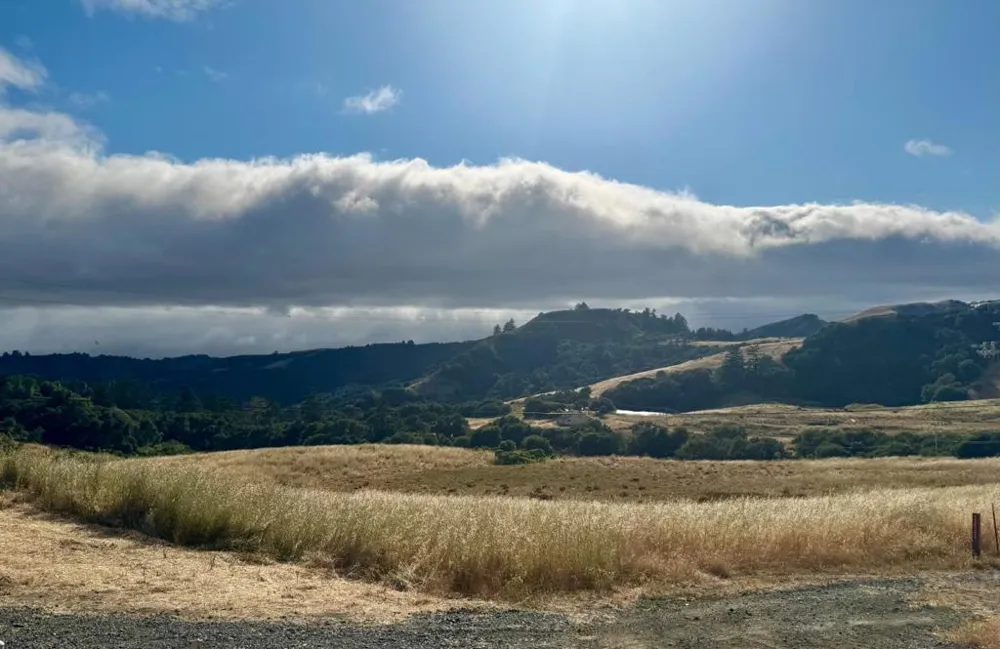 14251 Pescadero Creek Road #4 La Honda, CA 94020