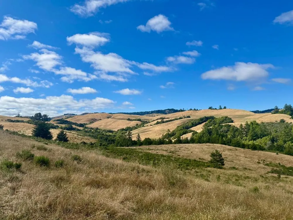 14251 Pescadero Creek Road #4 La Honda, CA 94020