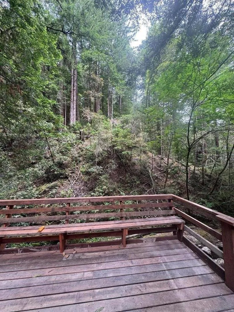 14251 Pescadero Creek Road #4 La Honda, CA 94020