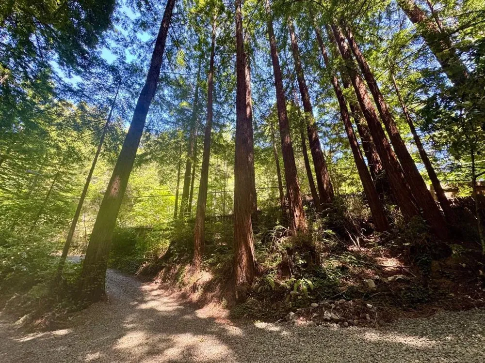 14251 Pescadero Creek Road #4 La Honda, CA 94020