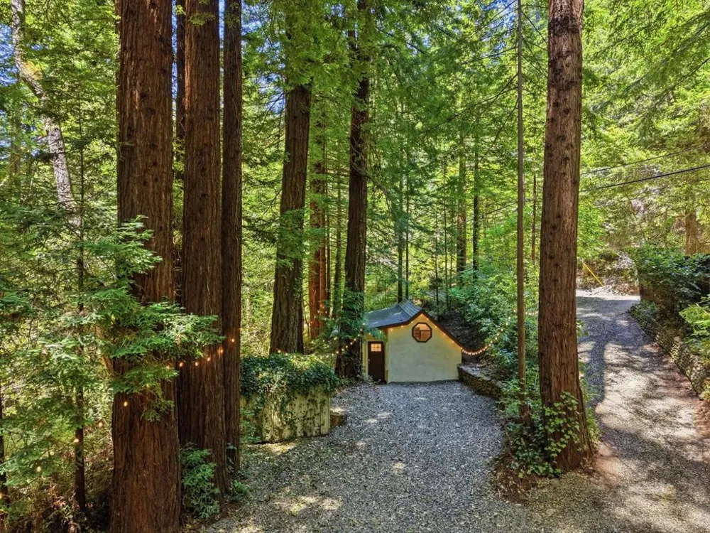14251 Pescadero Creek Road #4 La Honda, CA 94020