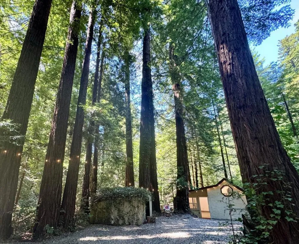 14251 Pescadero Creek Road #4 La Honda, CA 94020