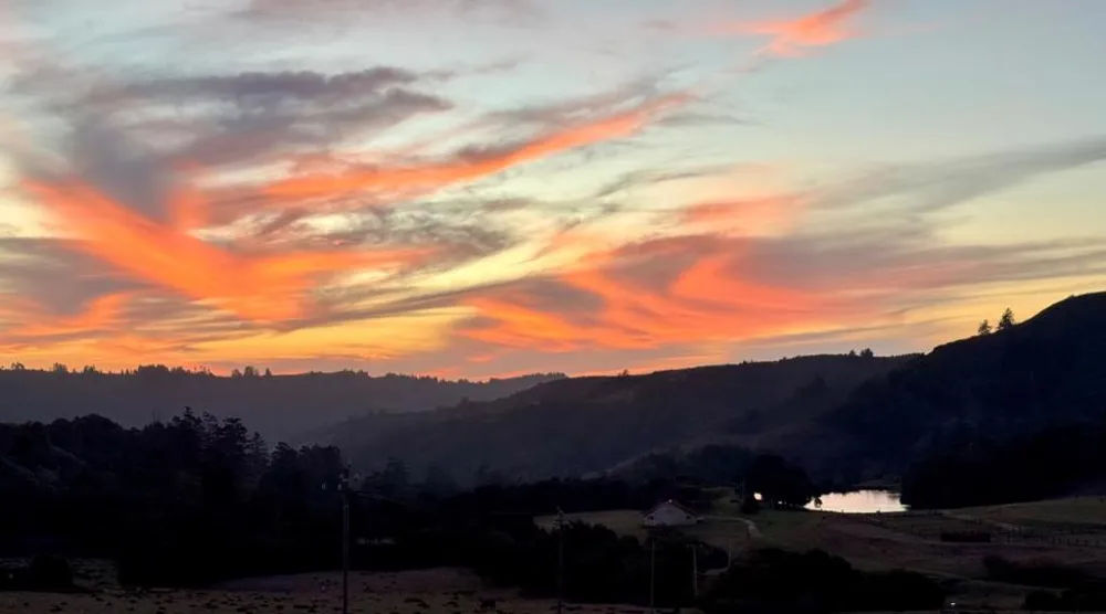 14251 Pescadero Creek Road #4 La Honda, CA 94020