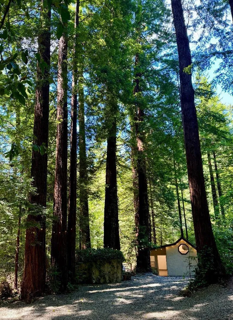 14251 Pescadero Creek Road #4 La Honda, CA 94020