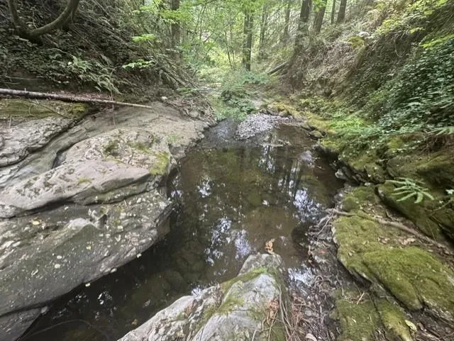 14251 Pescadero Creek Road #4 La Honda, CA 94020