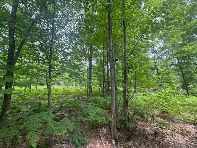 10384 W Rosted Road Lake Township, MI 49651