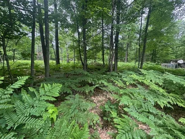 10384 W Rosted Road Lake Township, MI 49651