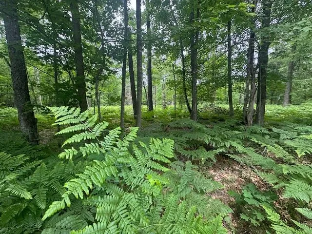 10384 W Rosted Road Lake Township, MI 49651