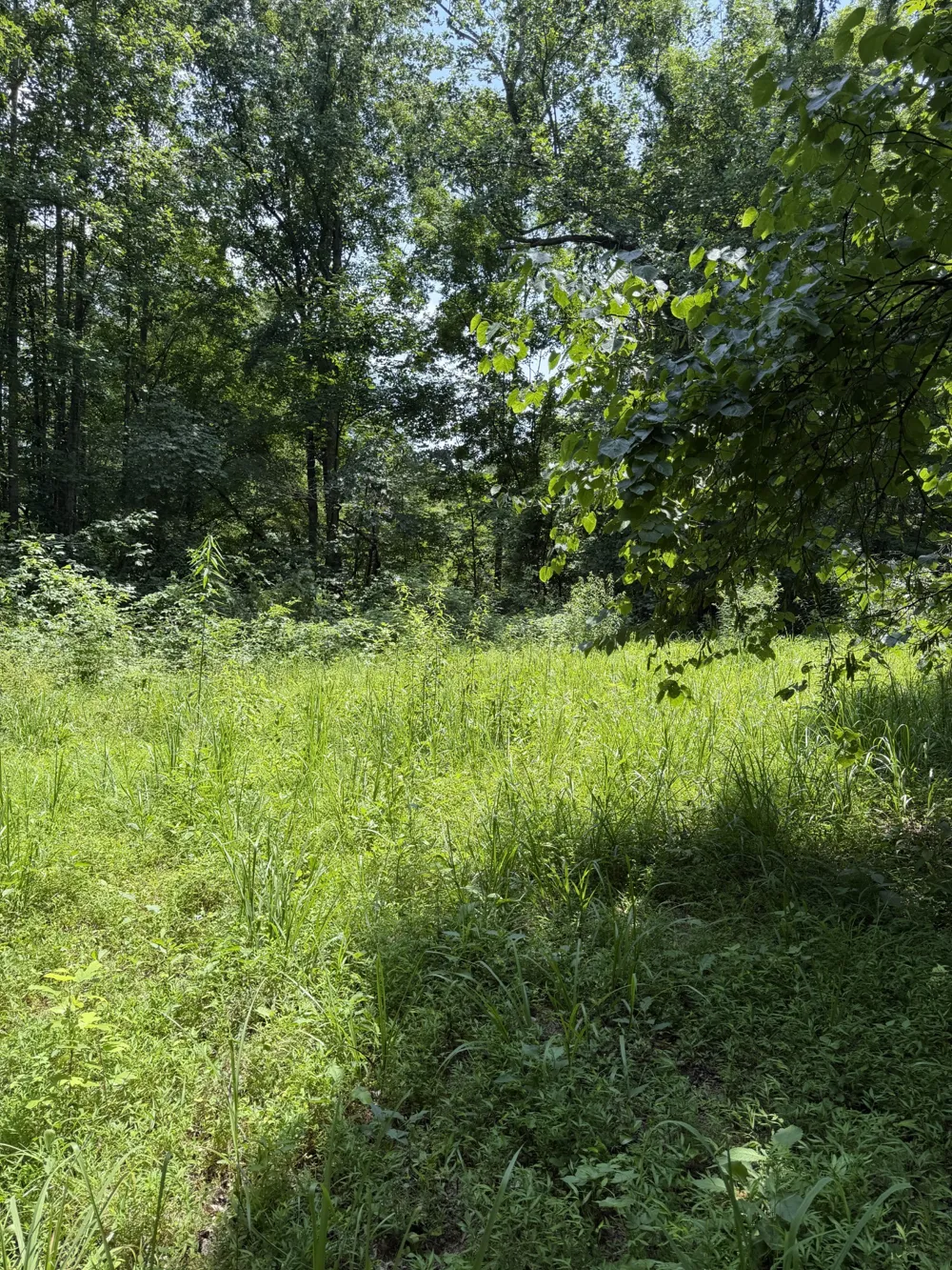 0 Wilderness Lane Lafayette, TN 37083