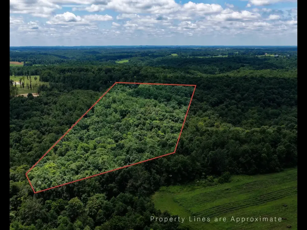 0 Wilderness Lane Lafayette, TN 37083