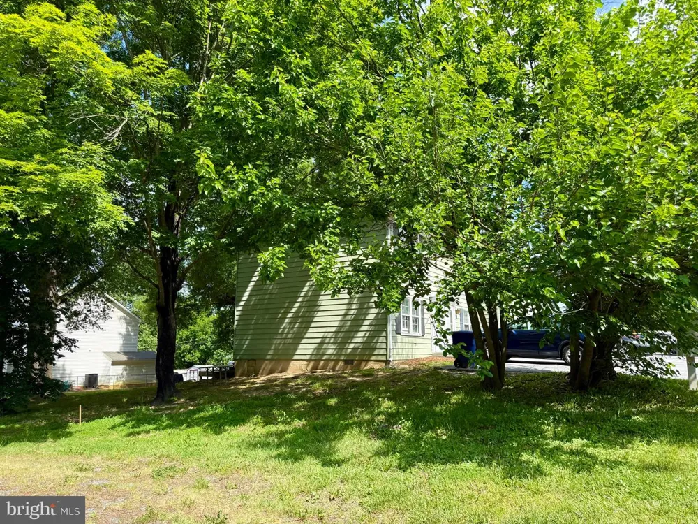1206 MASSANUTTEN AVENUE Front Royal, VA 22630