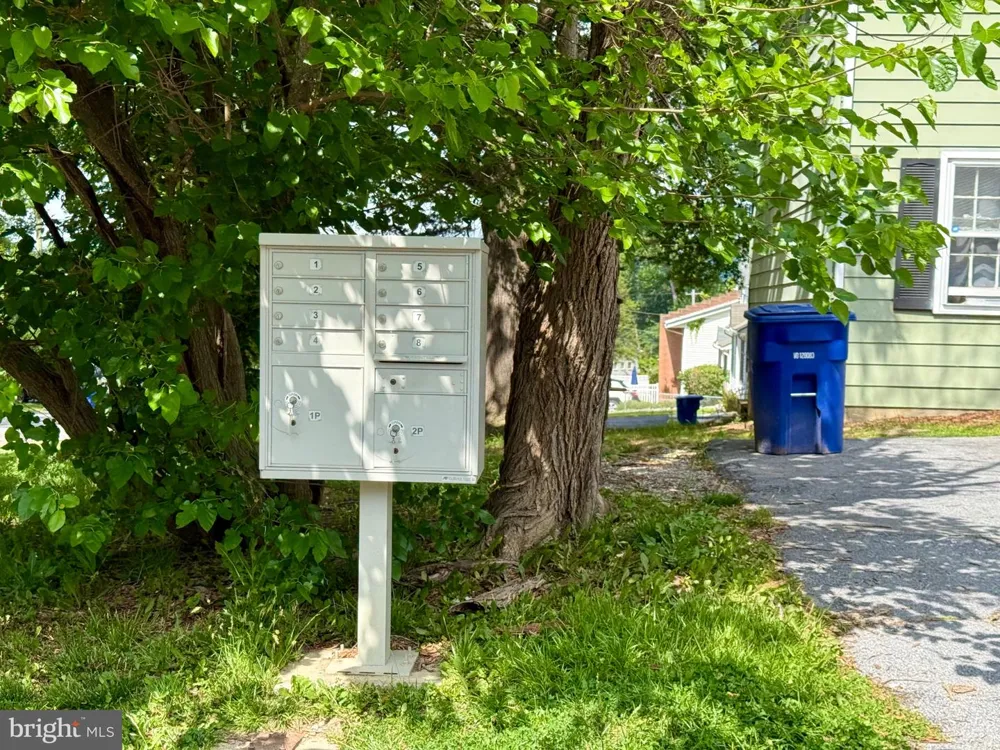 1206 MASSANUTTEN AVENUE Front Royal, VA 22630