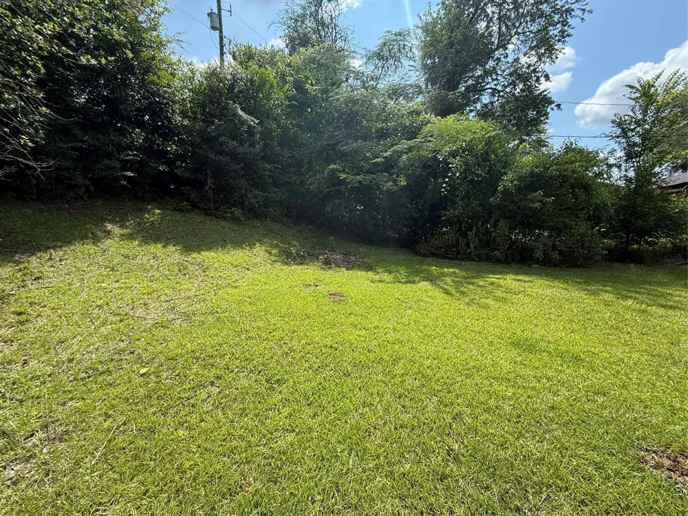 3113 Logan Street Shreveport, LA 71103
