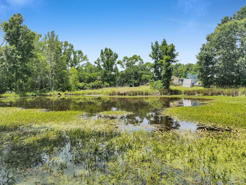 8323 County Road 292 Buffalo, TX 75831
