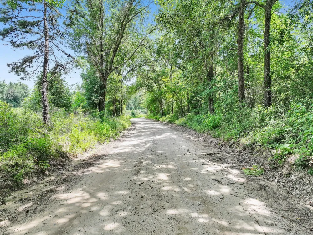 8323 County Road 292 Buffalo, TX 75831