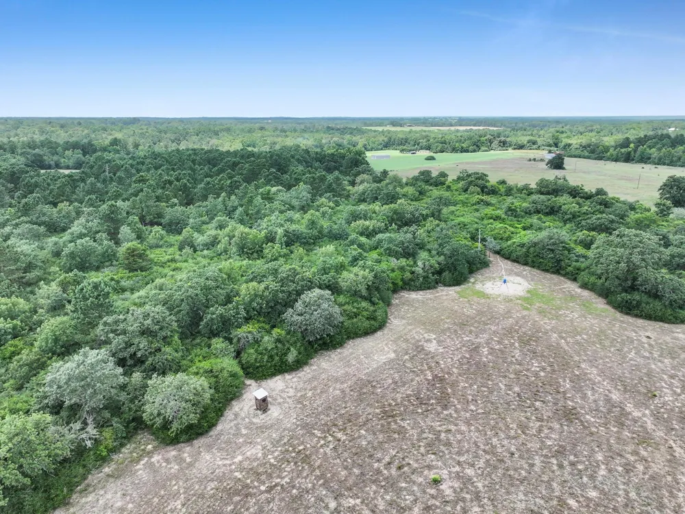 8323 County Road 292 Buffalo, TX 75831