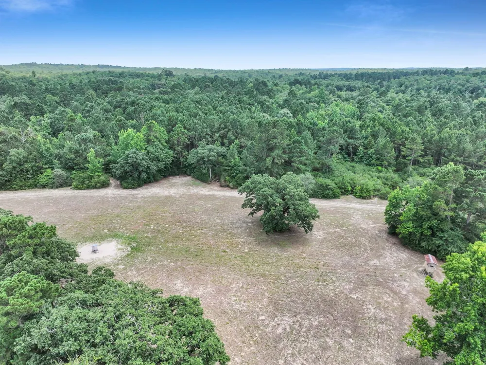 8323 County Road 292 Buffalo, TX 75831
