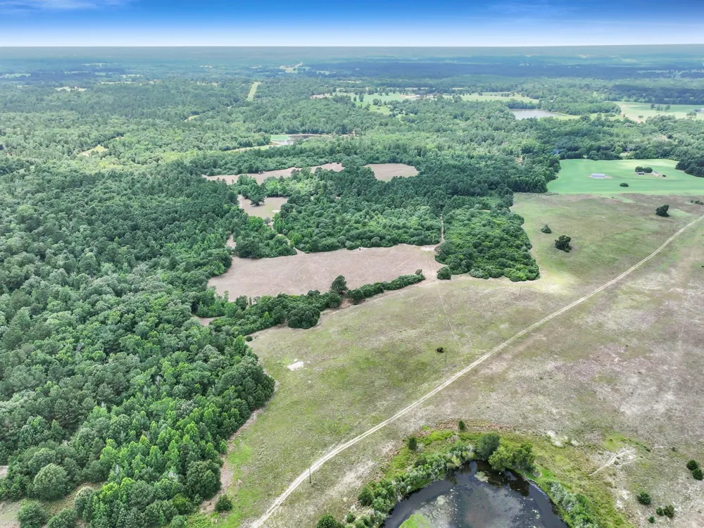 8323 County Road 292 Buffalo, TX 75831