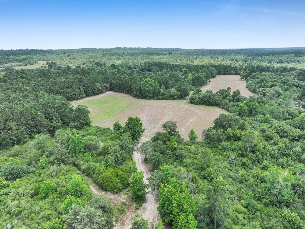 8323 County Road 292 Buffalo, TX 75831