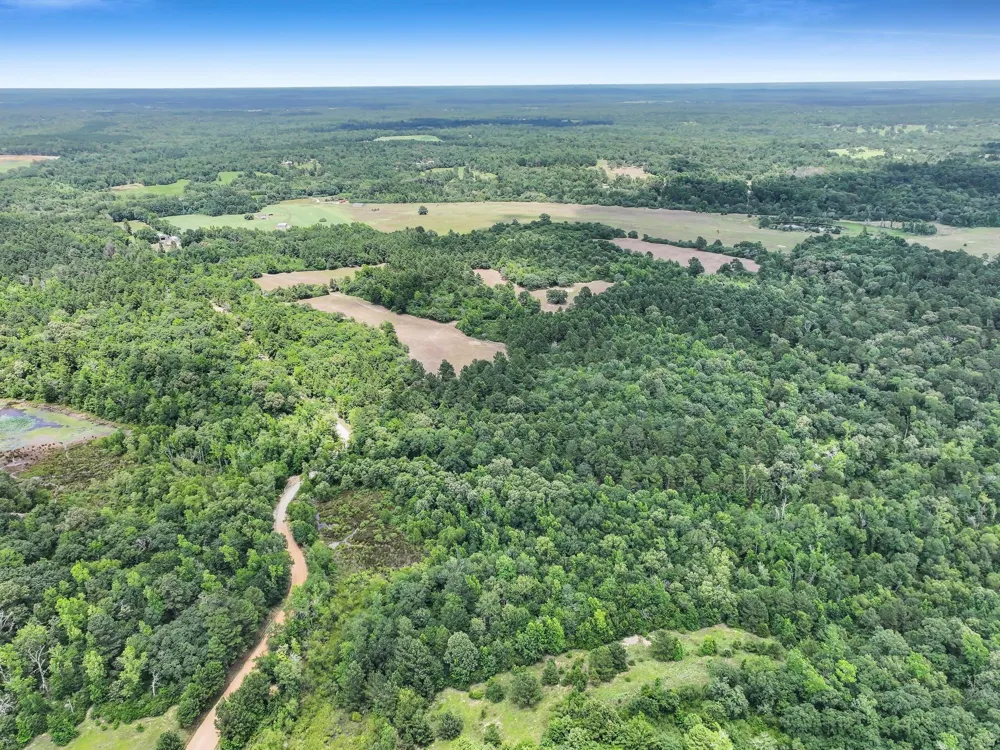 8323 County Road 292 Buffalo, TX 75831