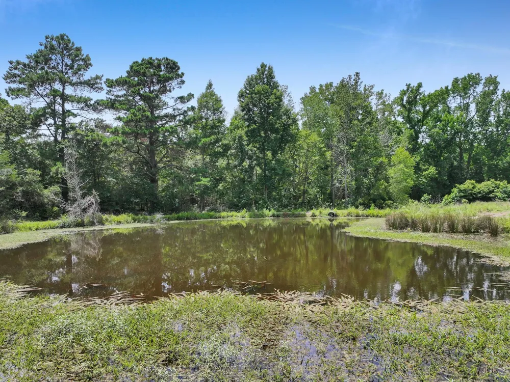 8323 County Road 292 Buffalo, TX 75831