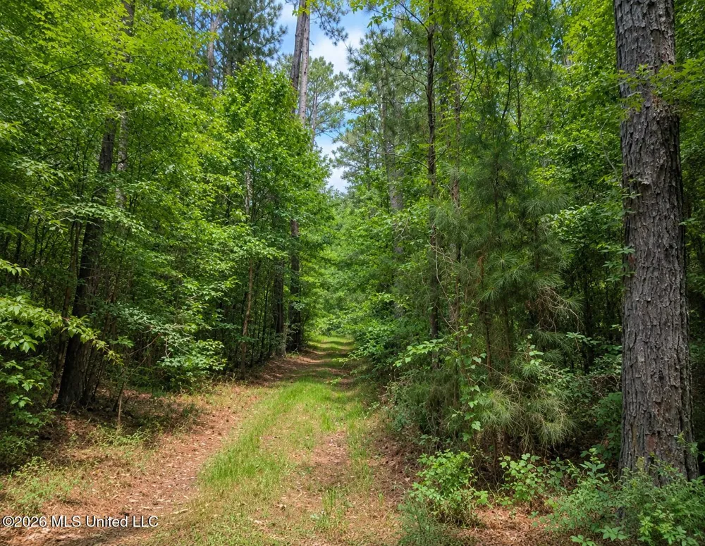 Scr Road 114 Mize, MS 39116