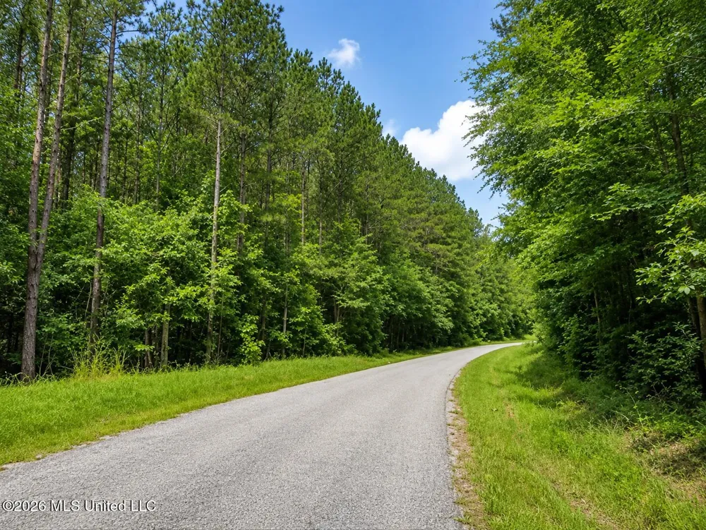 Scr Road 114 Mize, MS 39116