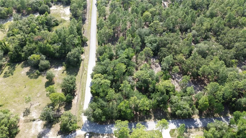 UNDETERMINED Dunnellon, FL 34431