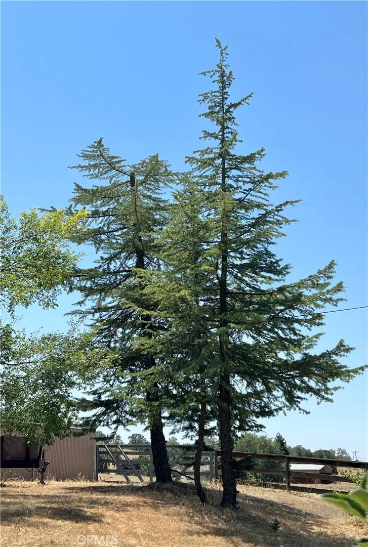 32644 Quail Squaw Valley, CA 93675