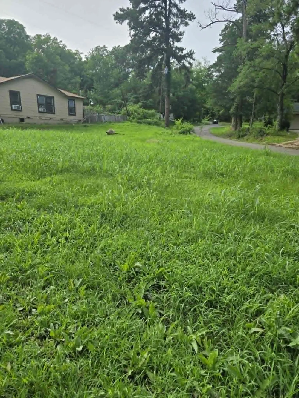 800 Webb Street Daingerfield, TX 75638