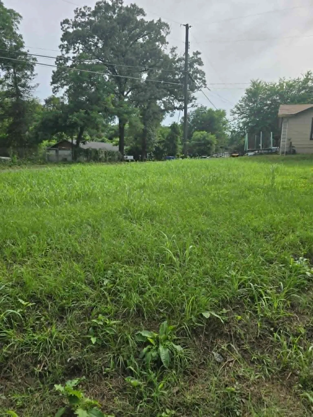 800 Webb Street Daingerfield, TX 75638