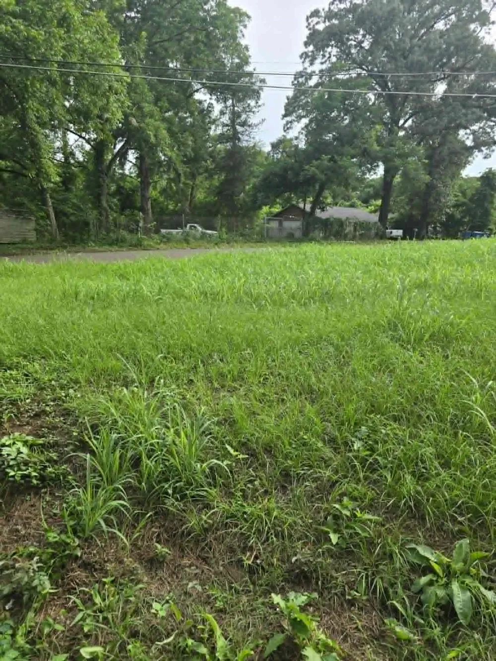 800 Webb Street Daingerfield, TX 75638