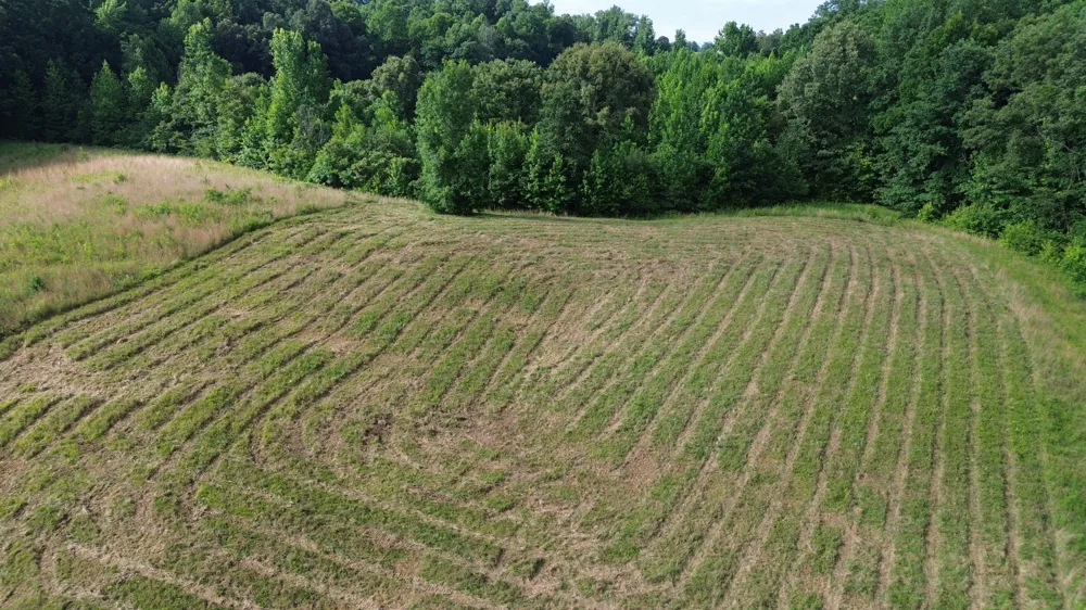 0 Summer Breeze Dr Smithville, TN 37166