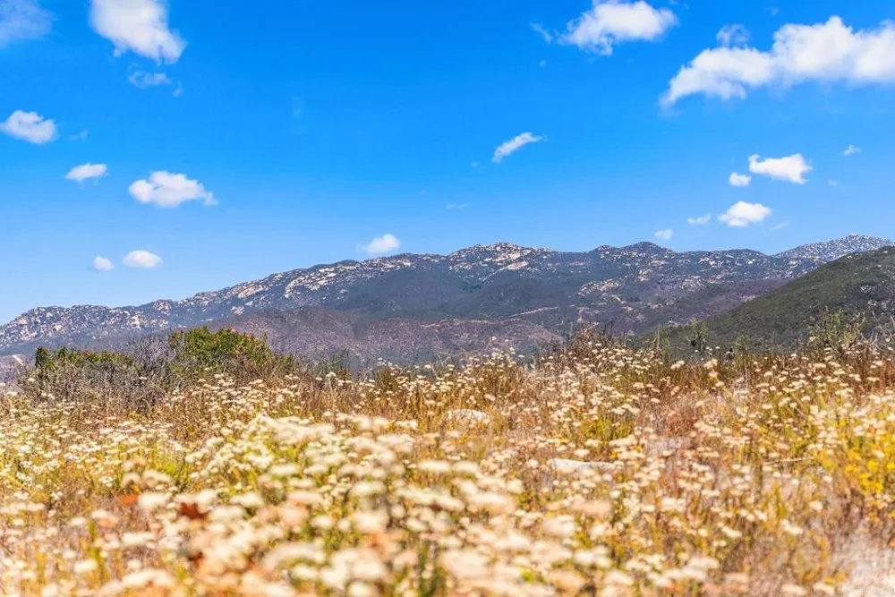 Tierra Nuevo Fallbrook, CA 92028