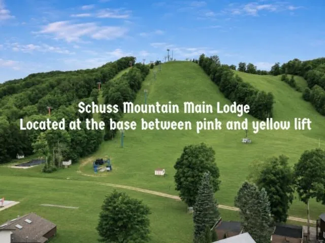 6500 Schuss Mountain Lane Custer Township, MI 49659