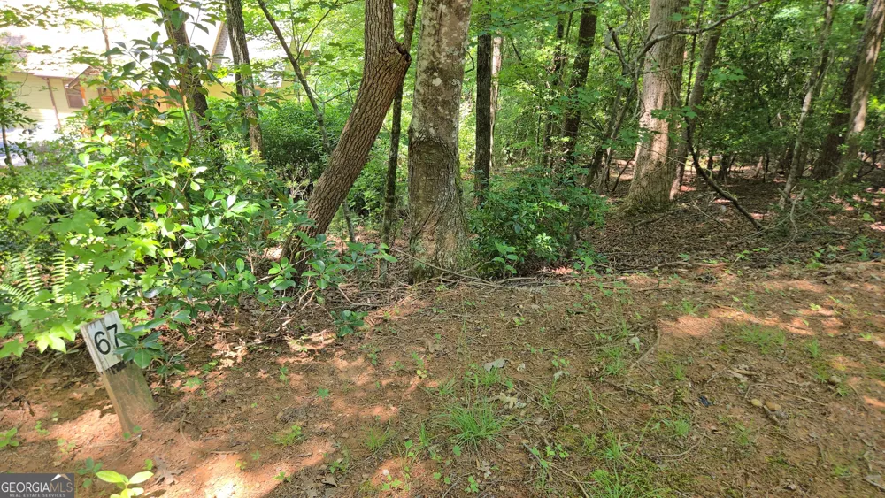 66-67 Erst Strasse Helen, GA 30545