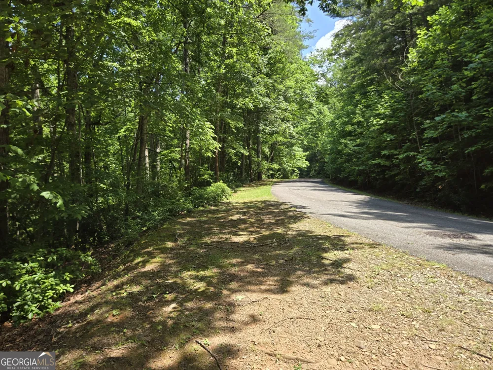 66-67 Erst Strasse Helen, GA 30545