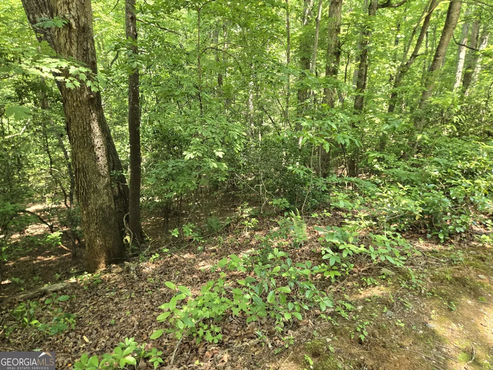 66-67 Erst Strasse Helen, GA 30545