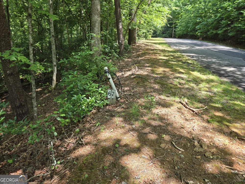 66-67 Erst Strasse Helen, GA 30545
