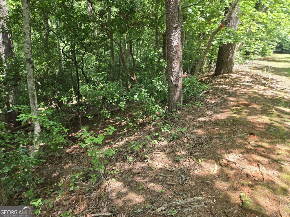 66-67 Erst Strasse Helen, GA 30545
