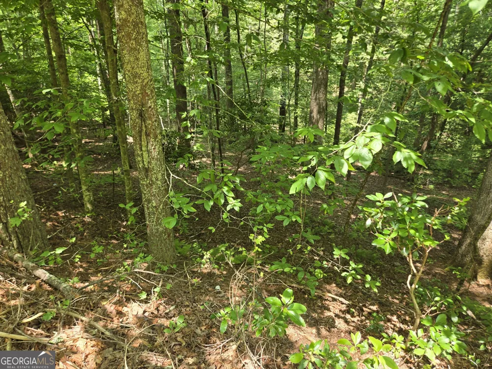 66-67 Erst Strasse Helen, GA 30545