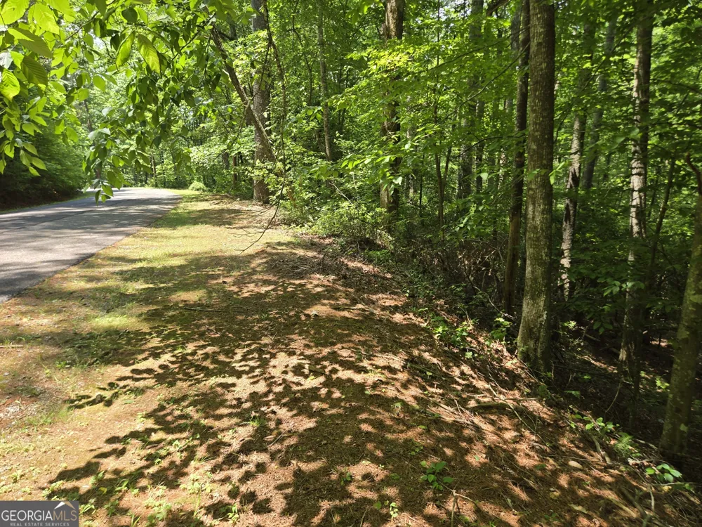66-67 Erst Strasse Helen, GA 30545