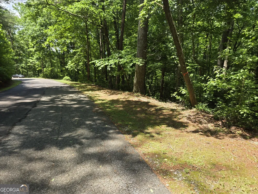 66-67 Erst Strasse Helen, GA 30545
