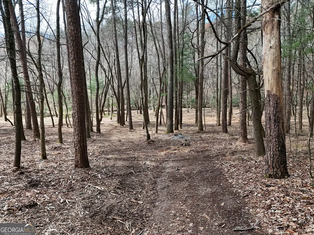 LT 45A Synacia DR Mineral Bluff, GA 30559