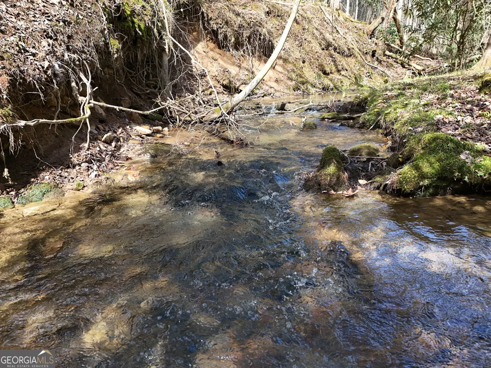 LT 45A Synacia DR Mineral Bluff, GA 30559