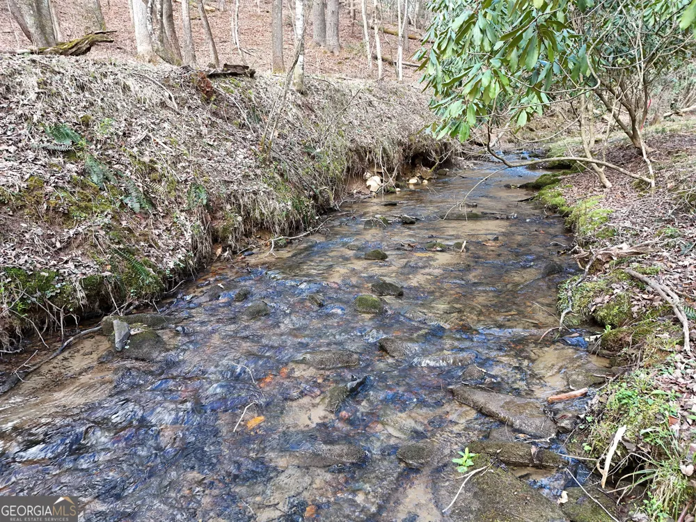 LT 45A Synacia DR Mineral Bluff, GA 30559