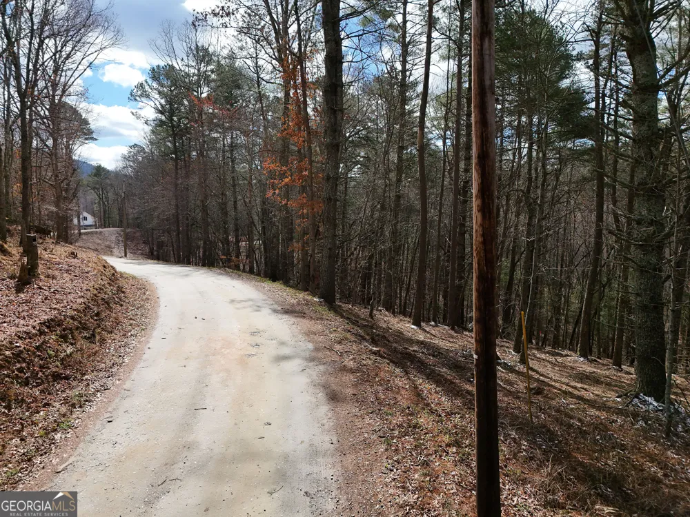 LT 45A Synacia DR Mineral Bluff, GA 30559