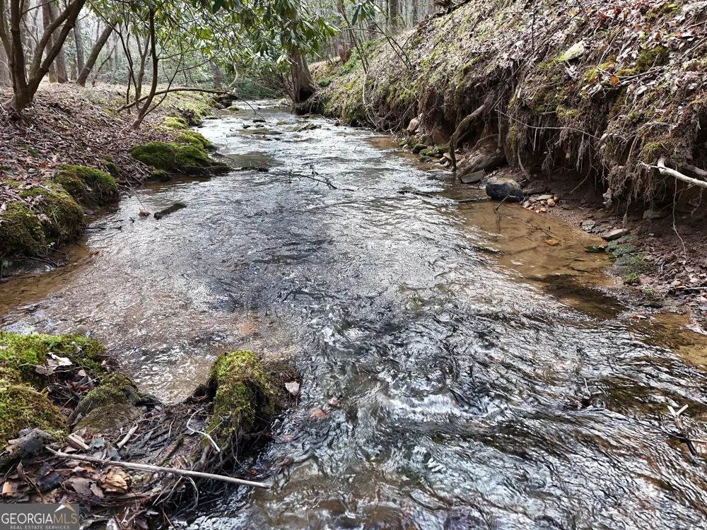LT 45A Synacia DR Mineral Bluff, GA 30559