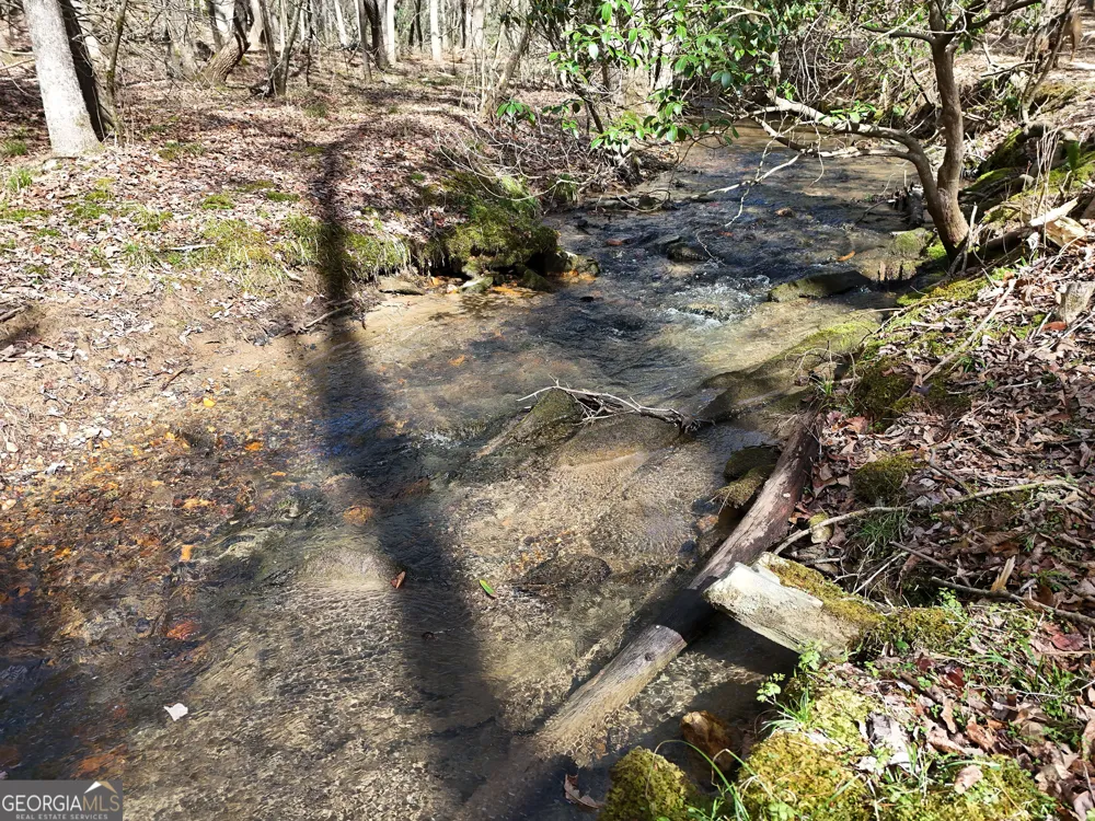 LT 45A Synacia DR Mineral Bluff, GA 30559